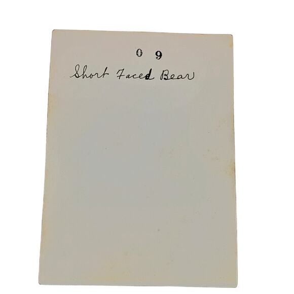 Vtg Boy Short Faced Bear Statue B&W Monochrome Photo 1940s Found Snapshot - Picture 2 of 4